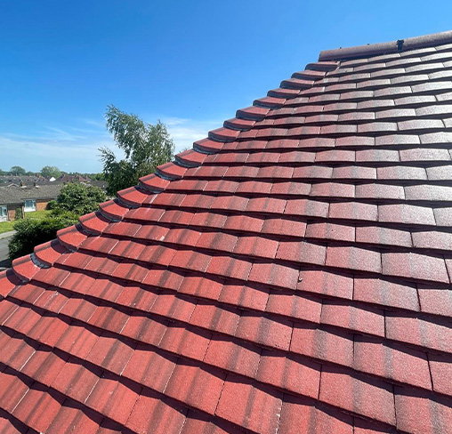 Red roof tiles with a blue sky and green trees in the background.